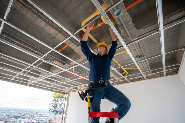 Best Plumbing Inspection Services  in Lusk, WY